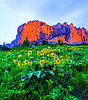 Montana Wilderness Association holding annual photo contest