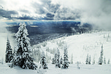 Forest Service finds no impacts for expansion of resort