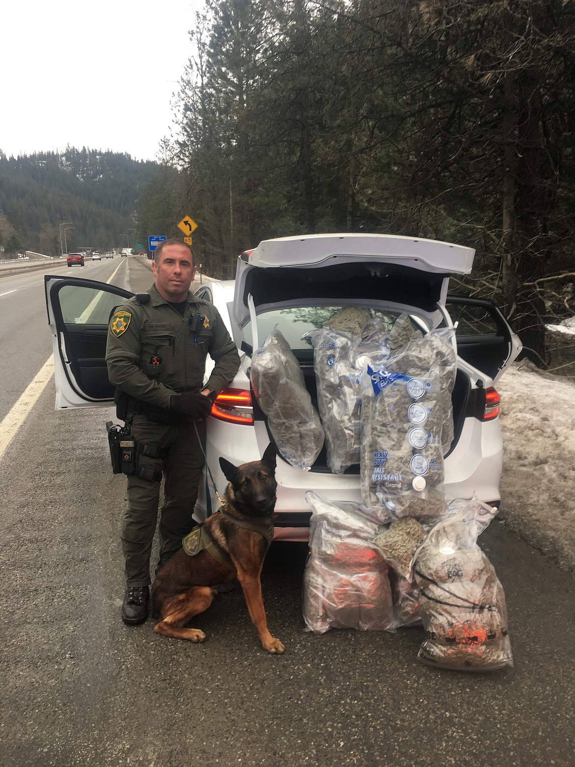 Photo courtesy of Kootenai County Sheriff&#146;s Office
The Kootenai County Sheriff&#146;s K9 &#147;Pogo&#148; and his handler helped confiscate 58 pounds of marijuana, cash, methamphetamine, and a firearm from a motorist traveling east to Montana over Fourth of July Pass in this February 2018 photo. Because it is surrounded by states where marijuana is legal in some form &#151; marijuana is considered legal for medical use in Montana and has been decriminalized in Washington &#151; Idaho is a major travel corridor for cannabis trafficking. Trafficking carries a mandatory minimum sentence in the Gem State.