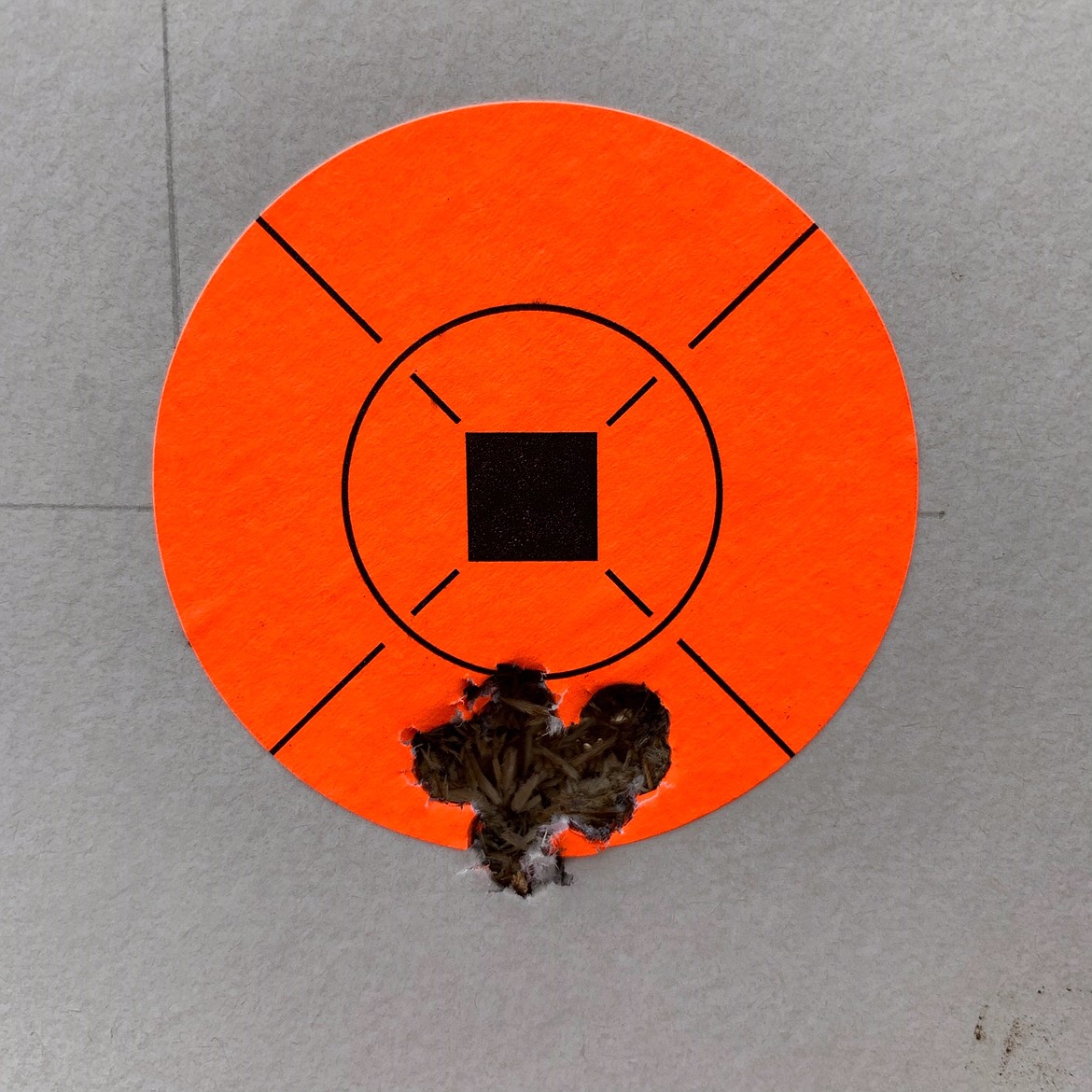 A 10-shot group  fired by Jake at 100 yards. His rifle is chambered in a new cartridge called the 6 GT. It fires 105 grain
6 mm bullets at 2900-2960 FPS, depending on the powder charge. All the ammo is reloaded by Jake and his dad, Sam.

Sam Millard