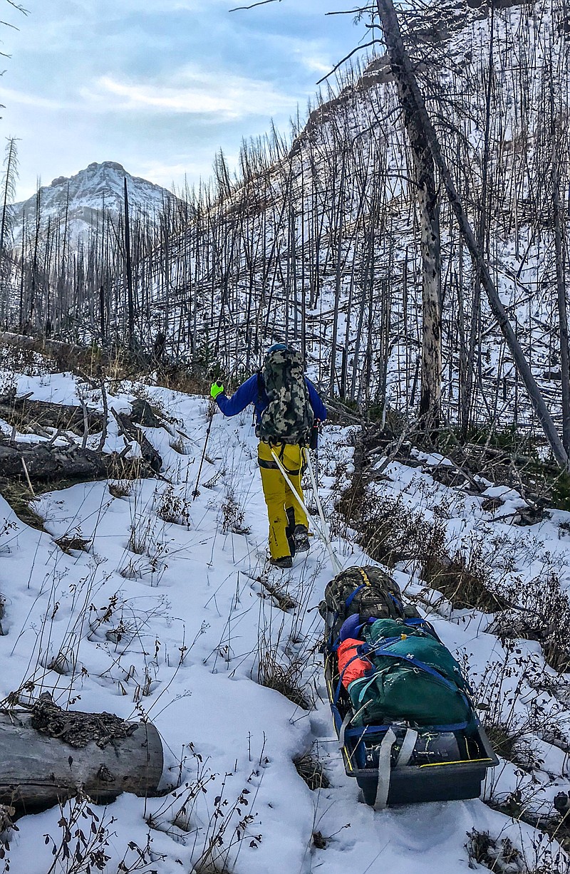 Chris Williams hauls a sled loaded with hunting and camping gear into the Absaroka-Beartooth Wilderness. Williams worked with hunting buddy Johnny Willcut, who bagged a mature billy mountain goat, then helped him get out after a bad fall. (John Willcut photo)