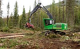 Timber sales look to make forest more fire resistant