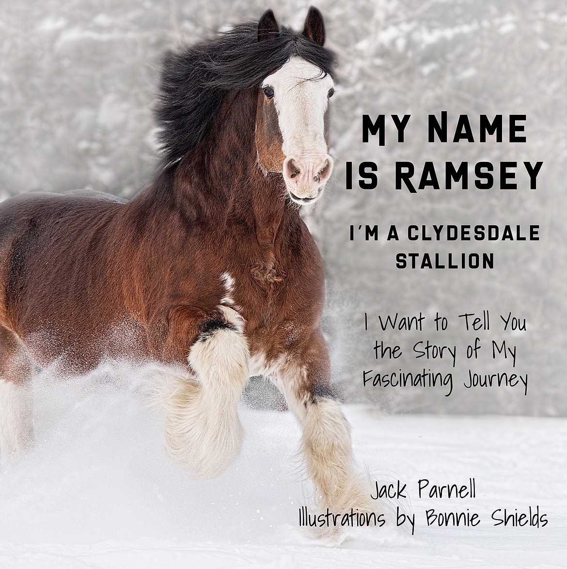 Courtesy photo
&#147;My Name is Ramsey&#148; is a colorfully illustrated children&#146;s book about a Clydesdale (horse) named Ramsey. A true story about his journey from Scotland where he was a champion colt in a national horse show there, the book is about lessons, good and bad ones, that all contribute to character.
Author Jack Parnell grew up on a dairy farm and served as Deputy Secretary of Agriculture for the U.S. He owns a ranch in Idaho where Ramsey lives today.
Bonnie Shields of Leanin&#146; Tree fame, is the artist for &#147;My Name is Ramsey.&#148; She lives in North Idaho and loves mules, and horses.
The book is 56 pages. It is available in soft or hardbound covers through keokeebooks.com, Corner Book Store, or Vanderford&#146;s.