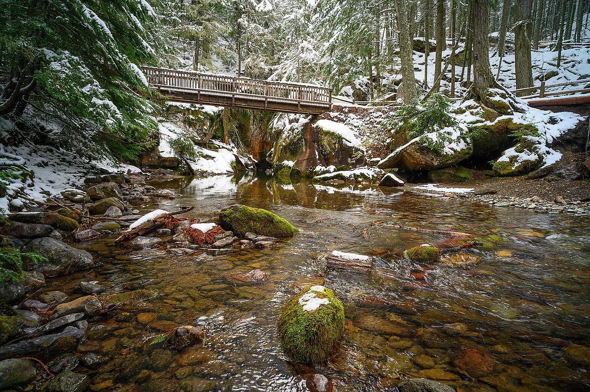 A snowy Avalanche Creek.