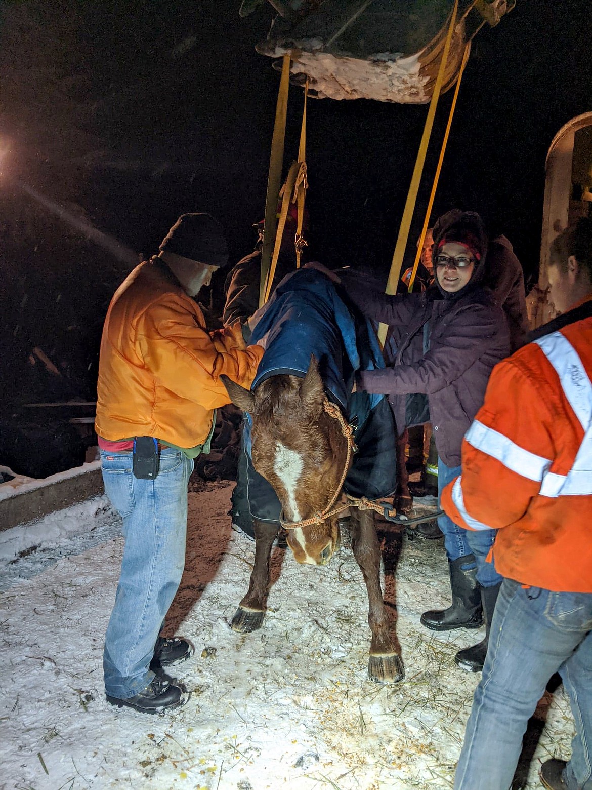 Michael Williams, Marion firefighters Chad Pluid and Bruce Appling and Emily Wiedner help stranded horse Henry to his feet Tuesday. (Marion Fire Department photo)