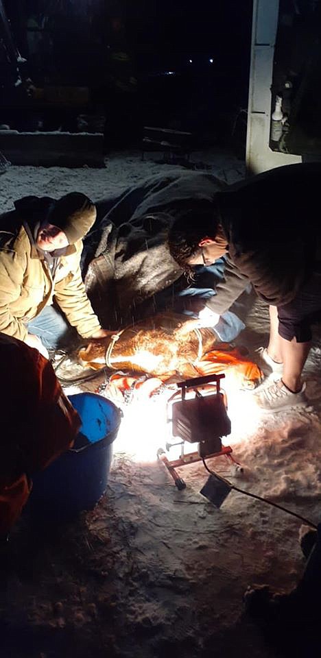 Marion volunteer firefighter/EMT Paul Pugh and horse owner Kim Dutcher work to soothe and warm Henry after he was rescued from freezing water near Marion Tuesday. (Marion Fire Department photo)