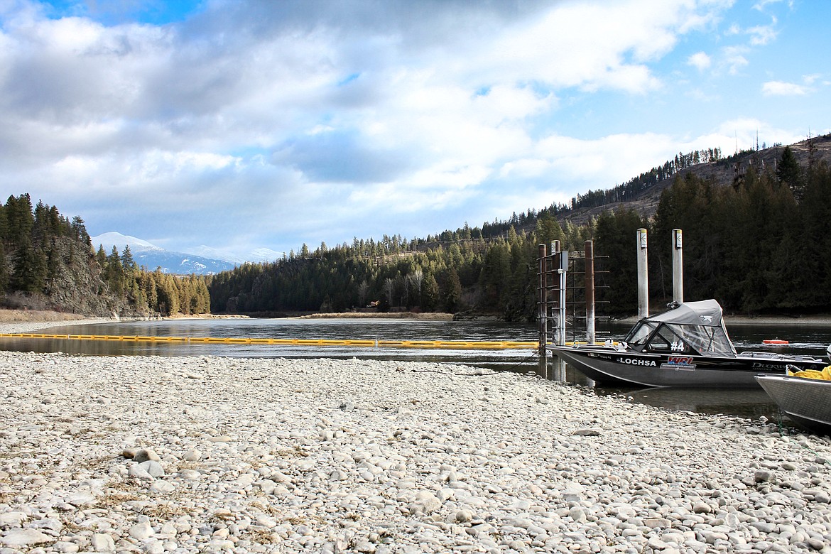 Photo by TONIA BROOKS
A containment boom was placed near the Kootenai Fish Hatchery water intake units early on Jan. 2.