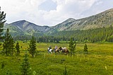Artist-Wilderness connection applications now available