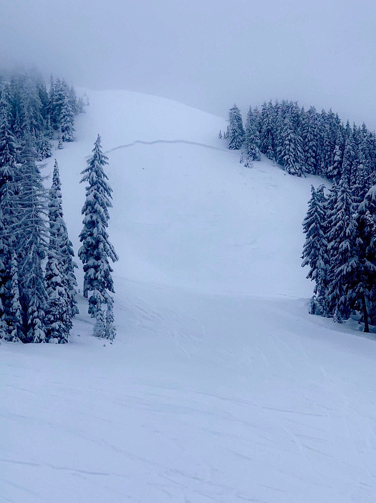 Photo by SUSAN PURVIS/
A portion of Wardner Peak following one of the avalanches. All the snow below the dark fracture line was sliding down the peak.