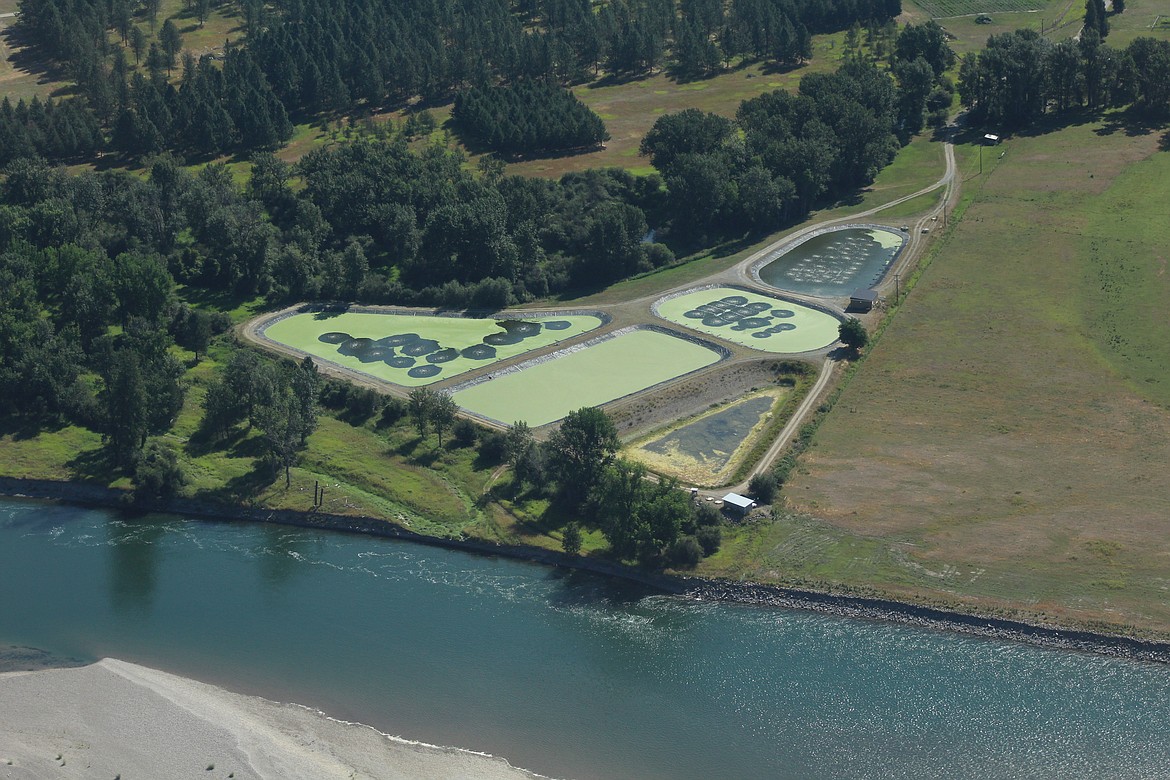 AERIAL Veiw of the Plains Wastewater Treatment Ponds. (John Dowd/Clark Fork Valley Press)