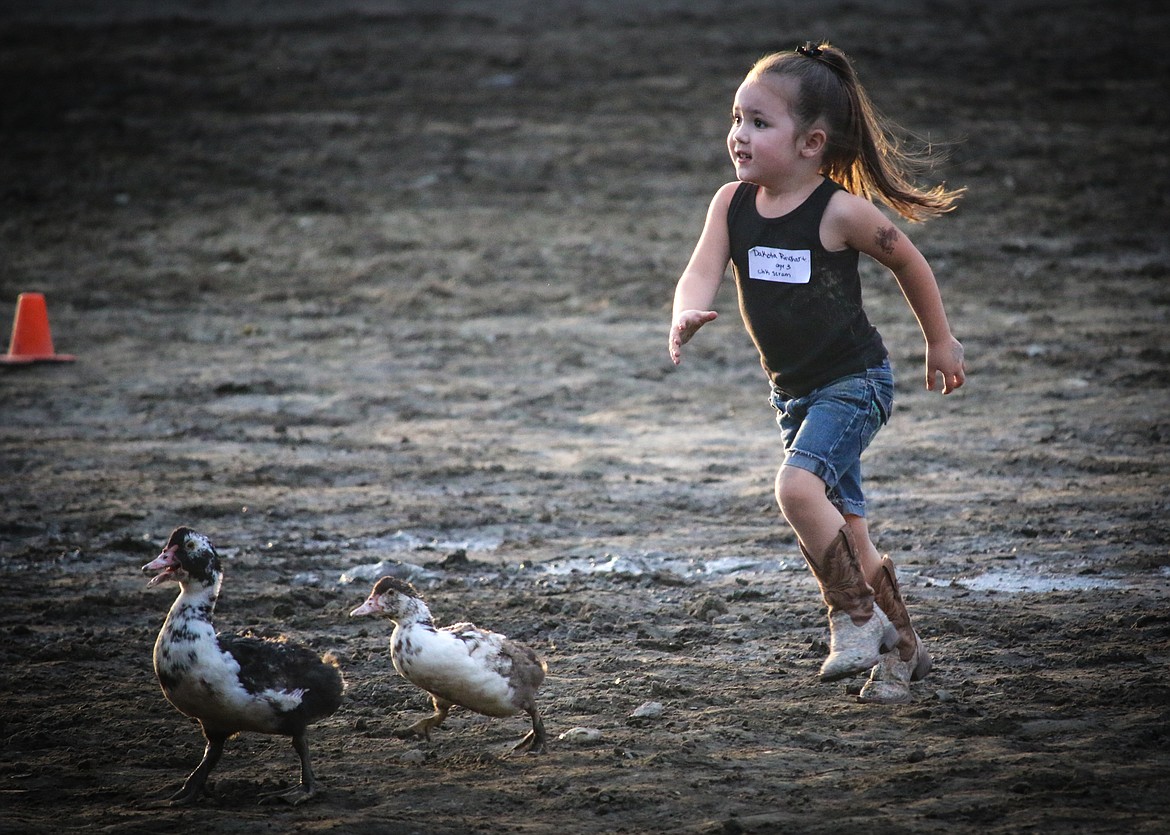 Photo by MANDI BATEMAN
Dakota Rinehart, 3, chases ducks during Family Fun Night on Aug. 17, at the Boundary County Fair.