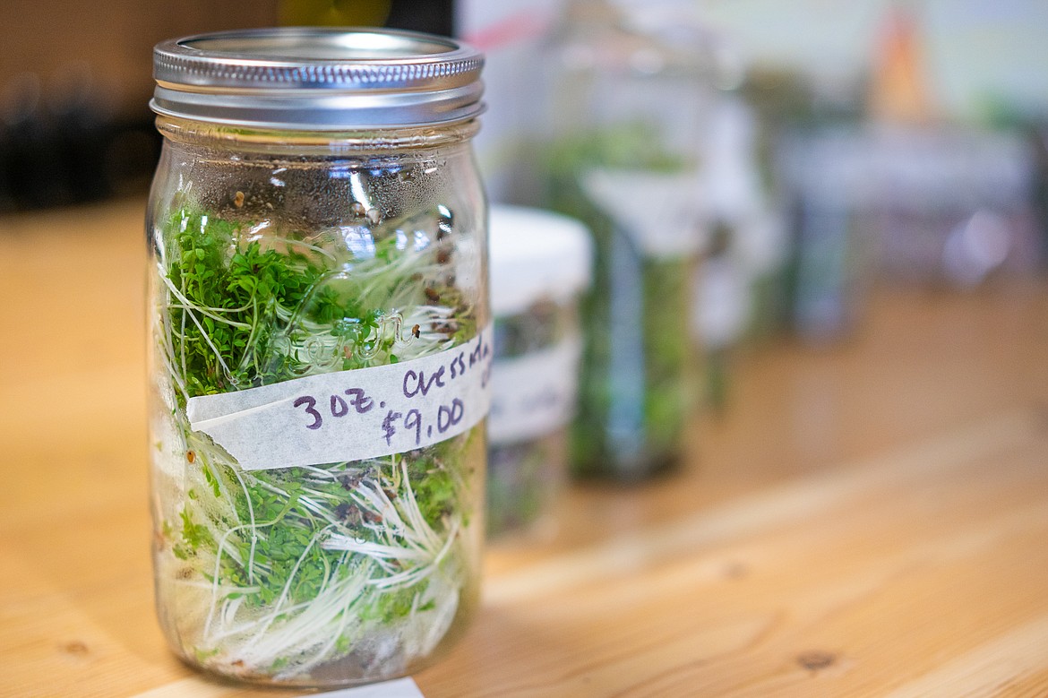 Student microgreen mixes were on sale during a Fifth Grade Farmers Market at the Center for Sustainability and Entrepreneurship on Wednesday. (Daniel McKay/Whitefish Pilot)