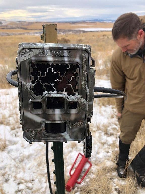 Idaho Fish and Game will use game cameras this winter for population estimates and to determine sex ratios odf deer and elk herds.

IDFG photo