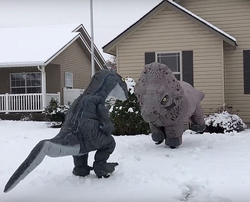 Amanda Montalvo recorded a Sunday snowball fight that evolved (or de-evolved) into a fight-to-extinction duel. (Courtesy of Amanda Montalvo)