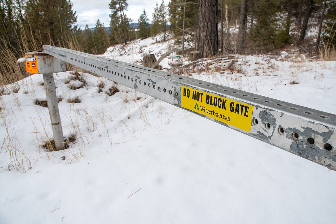 Weyerhaeuser lands lack merchantable timber, expert says Hungry Horse