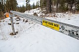 Weyerhaeuser lands lack merchantable timber, expert says