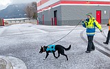 As population ages, crews train for urban searches