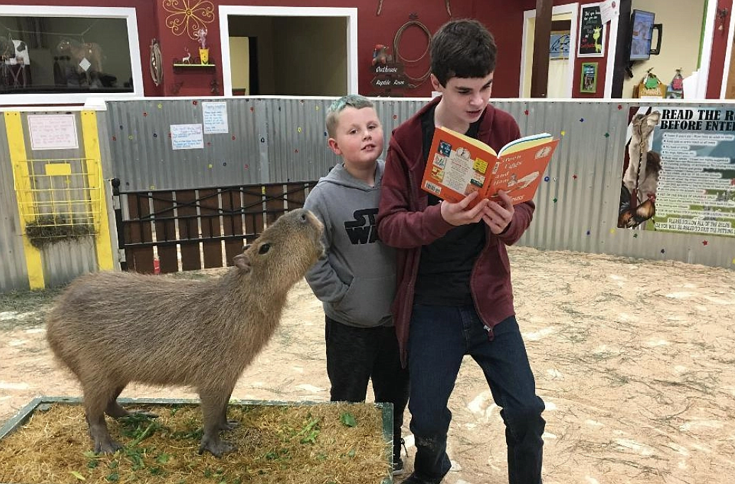 Courtesy photo
Ayden Alderman, 12, with book in hands, reads to cousin Breckin Willoughby and Hector the Capybara at Big Red&#146;s Barn in Coeur d&#146;Alene, where he also reads to younger kids once a month during Books at the Barn through his mom&#146;s nonprofit, the Monarch Train.