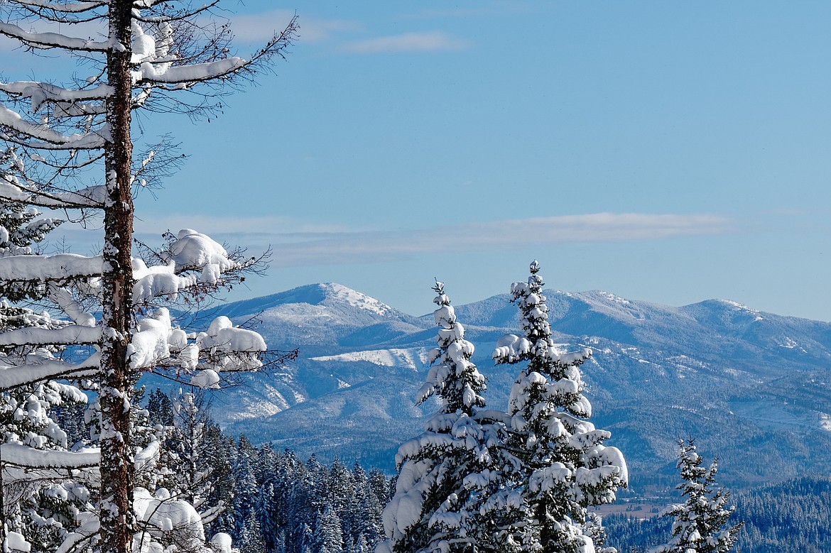 &#147;Here is a photo taken on Jan. 15, back when we had blue skies and not all the rain. It was taken while snowshoeing on Fourth of July Pass, looking east; the peak is Latah Baldy.&#148; - James Fillmore