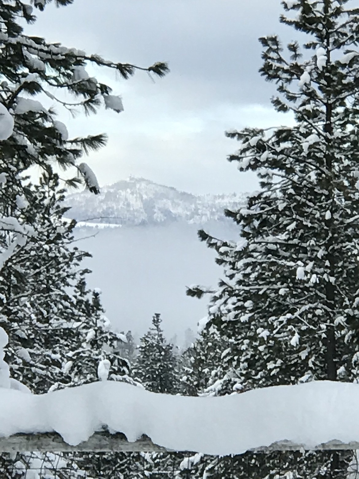 &#147;Because of our location, the only internet that works for us is microwave internet. We have a radio dish that has to have a clear view of the Ptera transmitter on Mica Peak. This was the view from the radio dish this foggy morning, Jan. 19.&#148; - Shirlee Grabko