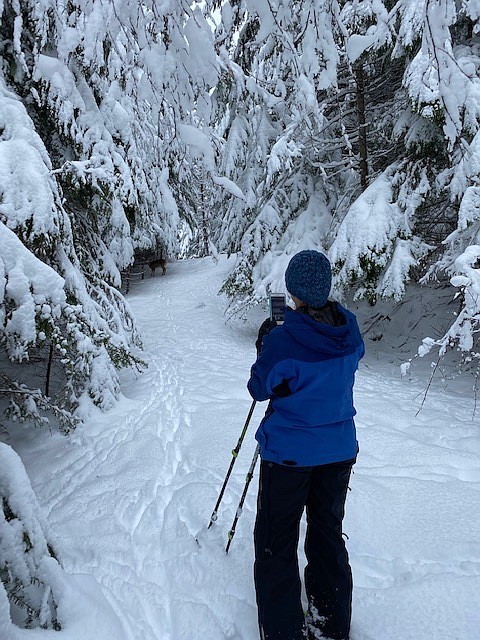 &#147;Hayden Lake, snow shoeing and deer.&#148; - Cindy Pearson