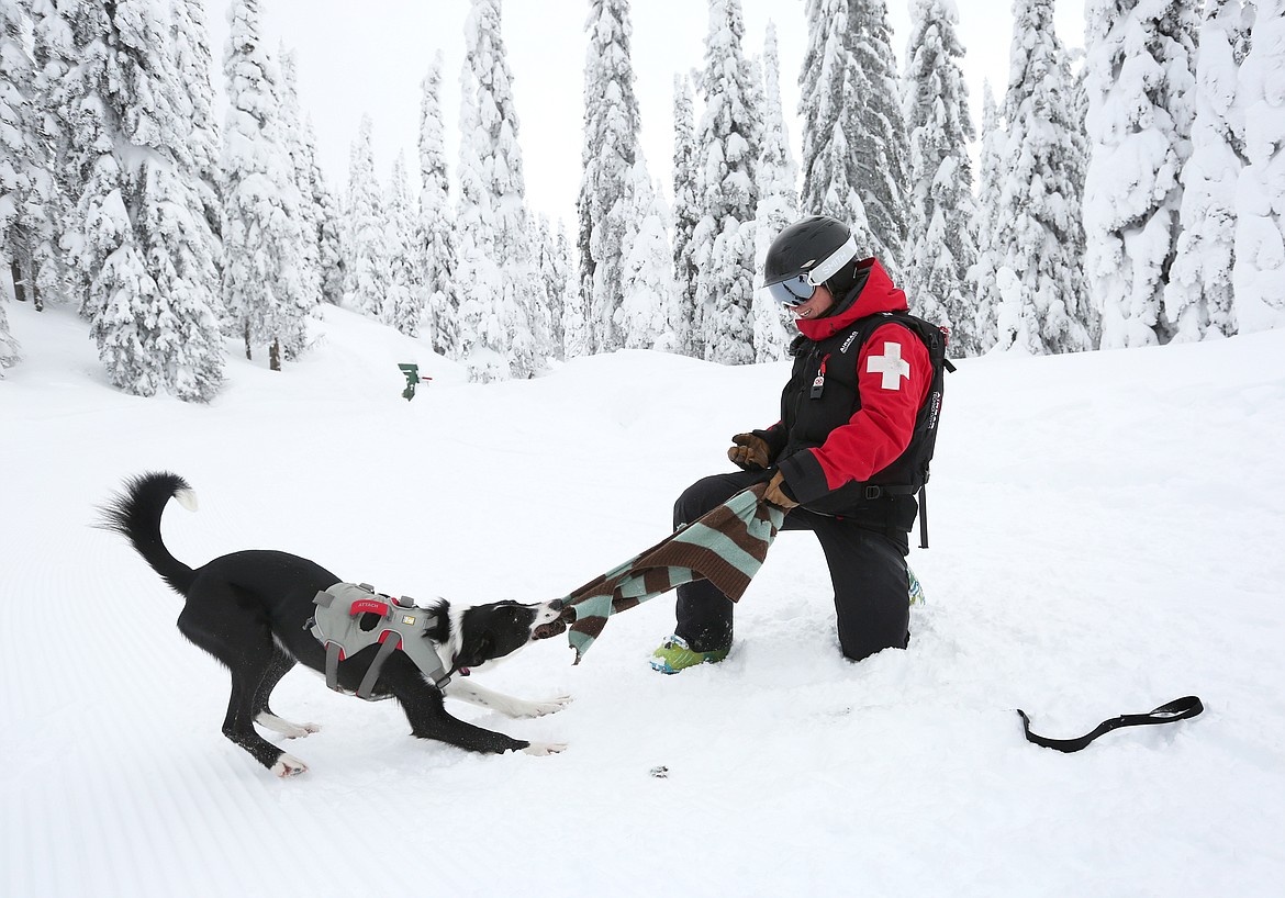 See the moment this dog is rescued after being buried by an avalanche