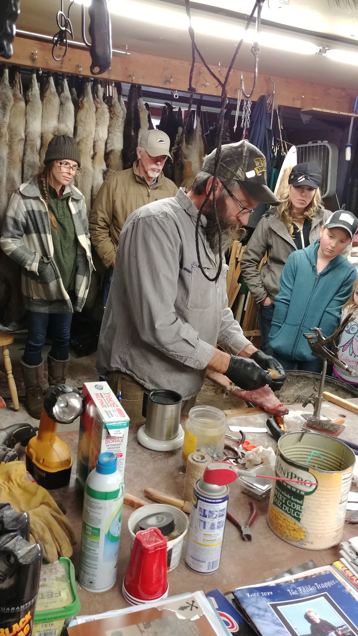 Dan Helterline hosted the Montana Trapper Association fur-skinning event. (Chuck Bandel/Valley Press)