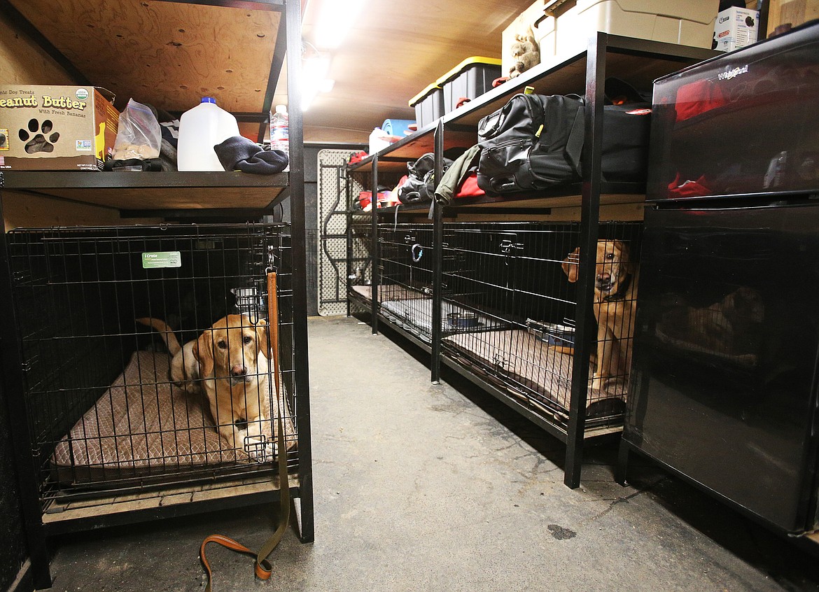 Inside the Idaho Technical Rescue Team trailer are all sorts of equipment, food, and supplies for deployment. The trailer is heated for winter months and cooled during warmer months. Pictured: Duke, left, and Murphy.