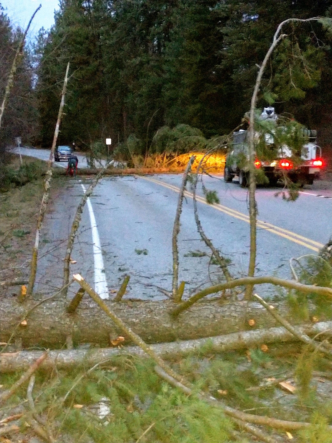 Courtesy photo
High winds are causing trees to fall into power lines and across roads according to Kootenai Electric Cooperative. Crews are working as quickly and safely as possible. Crews continue to have scattered outages across our service area. Winds are expected to get worse throughout the day, and we anticipate additional outages. We have several contract and mutual aid crews coming in to work with our crews. For the latest restoration times please visit https://www.kec.com/outage-map