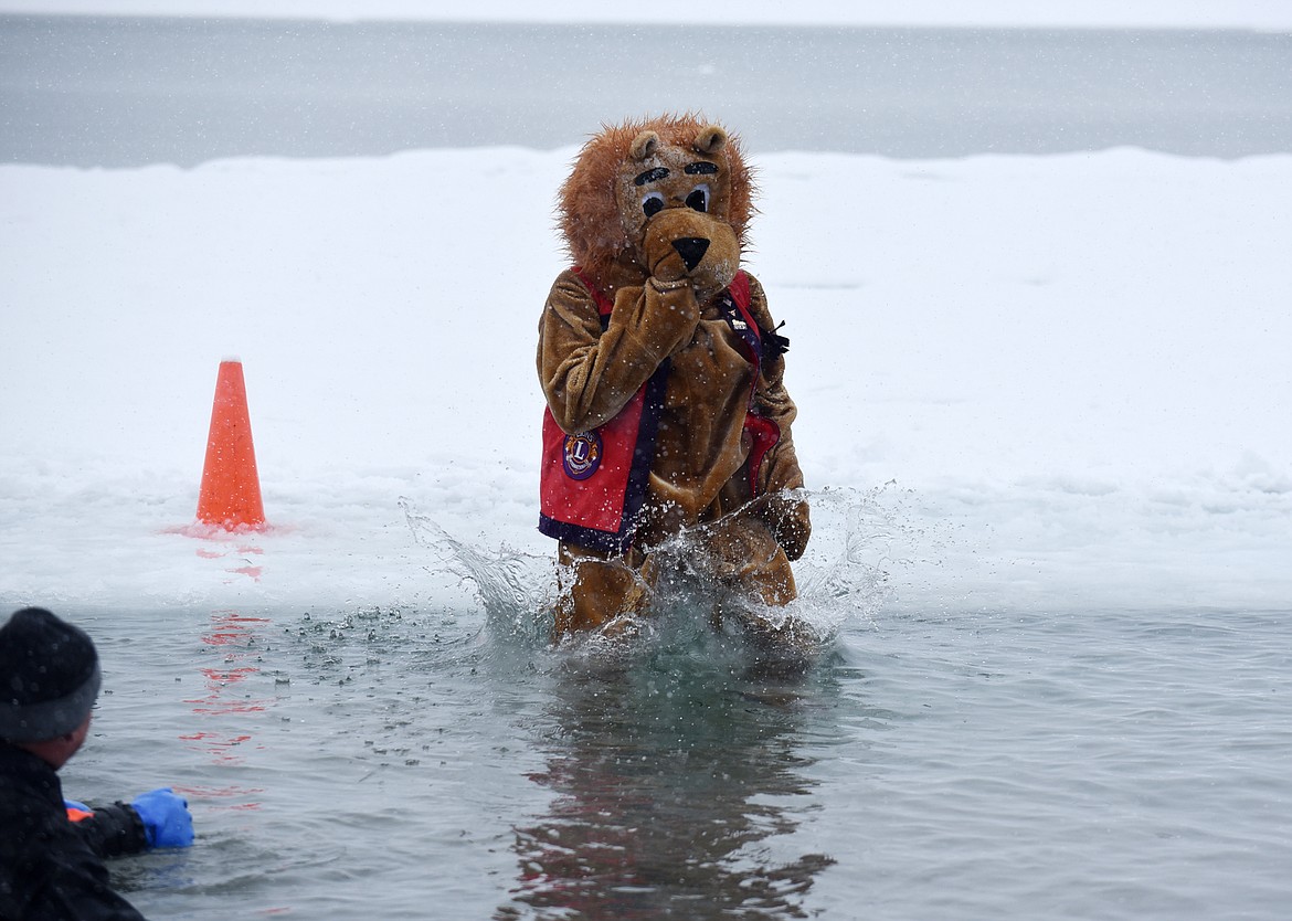 Leo the Lion, from the Columbia Falls Lions club, jumps into Whitefish Lake Saturday morning during the annual Penguin Plunge at City Beach. The event raises money for Special Olympics Montana. (Heidi Desch/Whitefish Pilot)