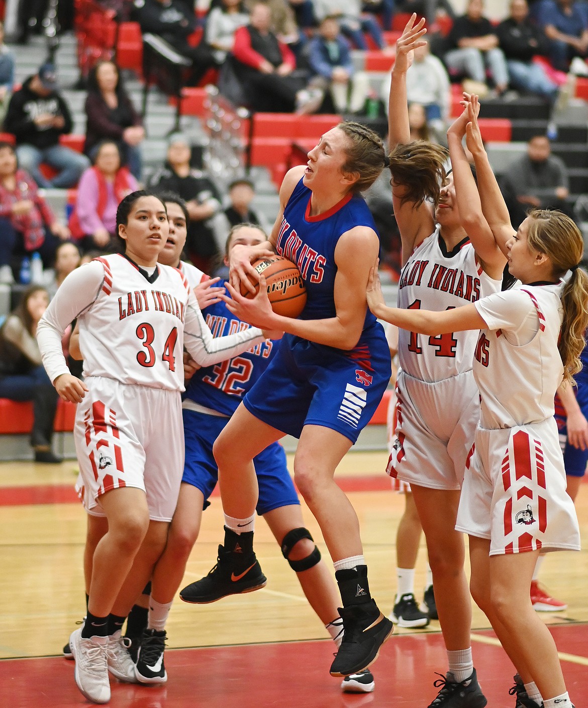 Josie Windauer snares a rebound against Browning Saturday.