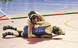 Stone, Windauer, take third at state wrestling