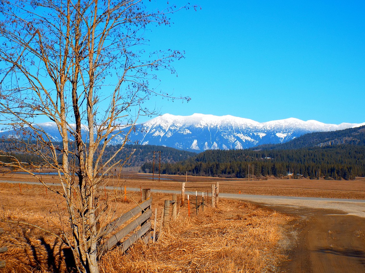 Robert Kalberg took this photo from Turkey Hollow Road on Feb. 19. He described it as an absolutely beautiful winter day, which allows the beauty of our surrounding mountains to shine.

Photo by ROBERT KALBERG