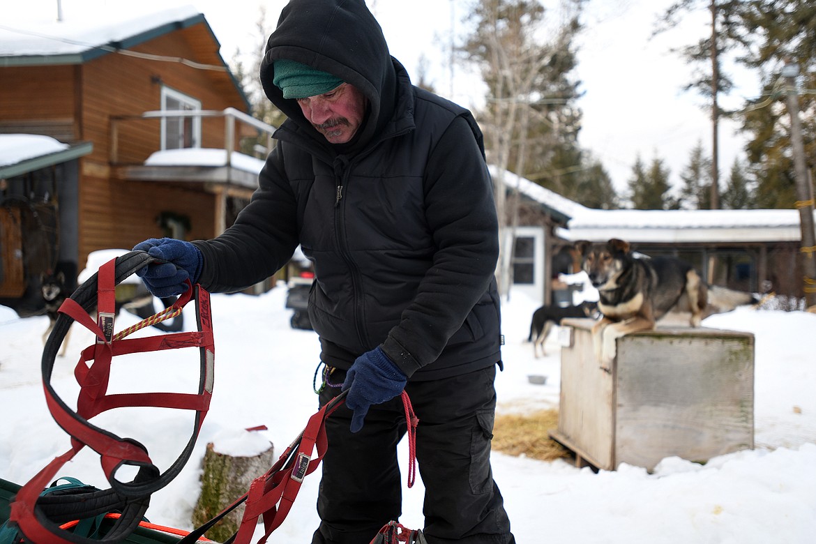 Butch Parr and his dogs have been hard at work training for the upcoming Flathead Classic sled dog race near Olney this weeknd.