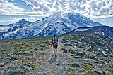 Author says wilderness experience still exists in National Parks