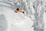 Forest OKs new lifts, runs at ski resort
