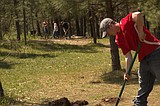 New disc golf series aims  to improve area's largest  disc golf complex