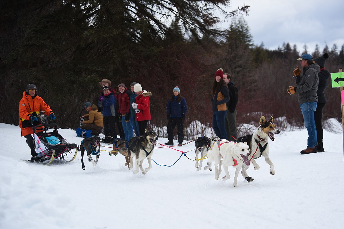 A six-dog team races by the crowd at the Flathead Classic Sled Dog Race in Olney last weekend. (Daniel McKay/Whitefish Pilot)