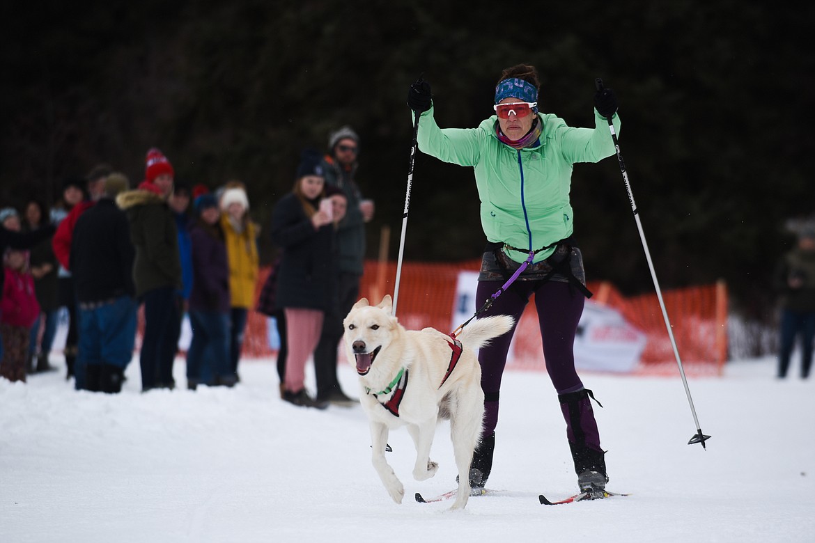 A woman and her pup get going on the one-dog skijoring race at the Flathead Classic Sled Dog Race in Olney last weekend. (Daniel McKay/Whitefish Pilot)