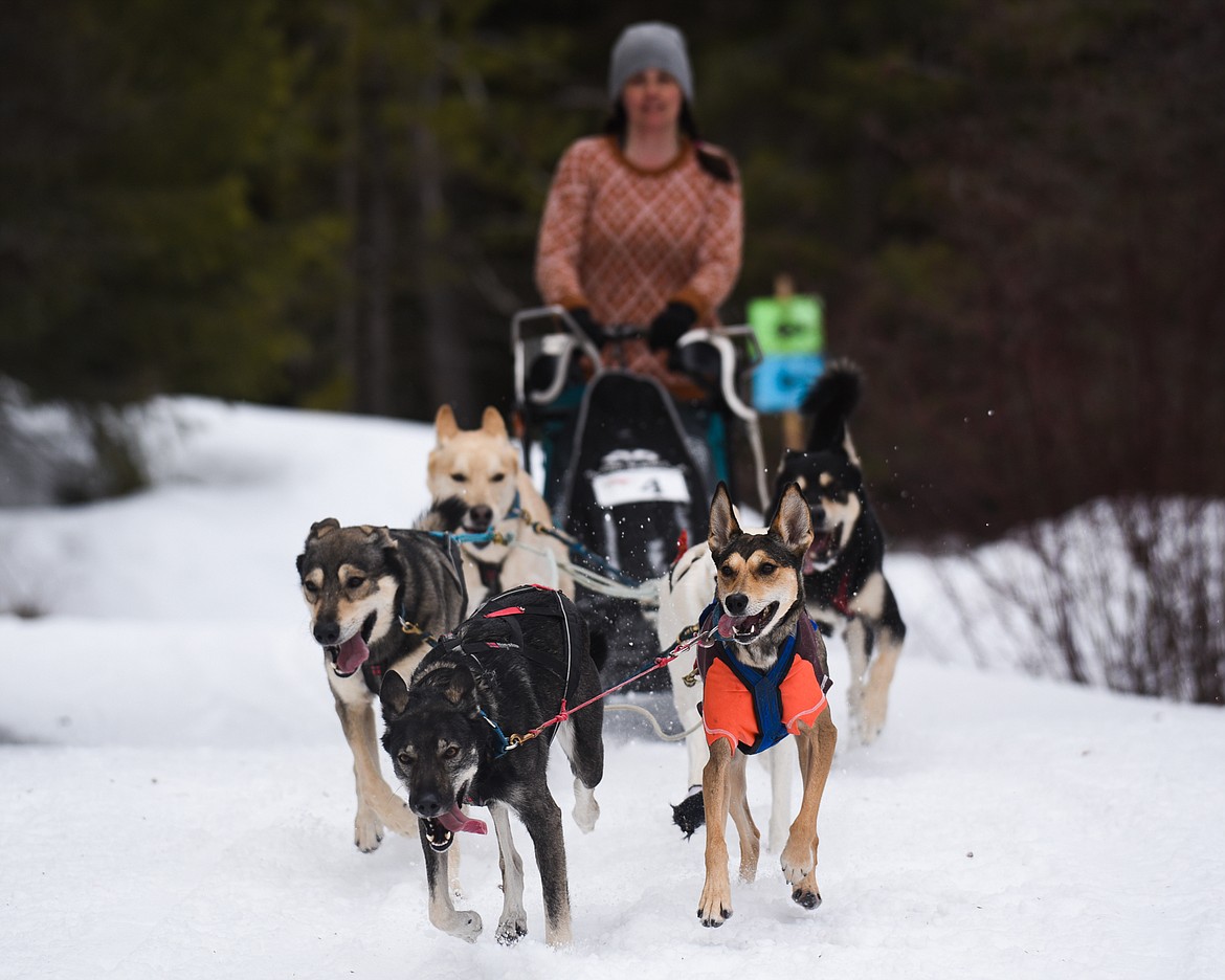 Geneva Lyon wraps up the six-dog race at the Flathead Classic Sled Dog Race in Olney last weekend. (Daniel McKay/Whitefish Pilot)