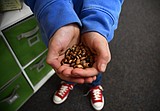 Free the Seeds event this weekend at FVCC