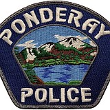 Theft suspect pleads guilty
