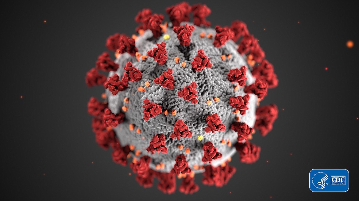 (Image courtesy CDC)
This illustration, created at the Centers for Disease Control &amp; Prevention, reveals ultrastructural morphology exhibited by coronaviruses.