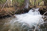 Trump now supports conservation funding, Senate responds