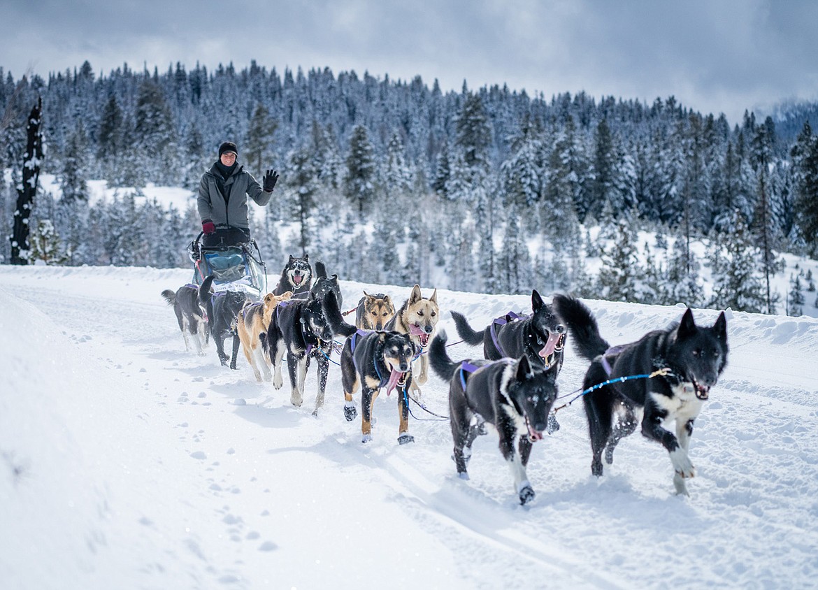 Josi Thyr races in the Idaho Sled Dog Challenge in McCall, Idaho. (Photo courtesy Melissa Shelby Photography)