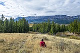 Helena Lewis and Clark national Forest closes campgrounds, rental cabins and day use areas