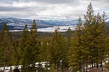 Company that bought Weyerhaeuser lands assures it will stay in block management program