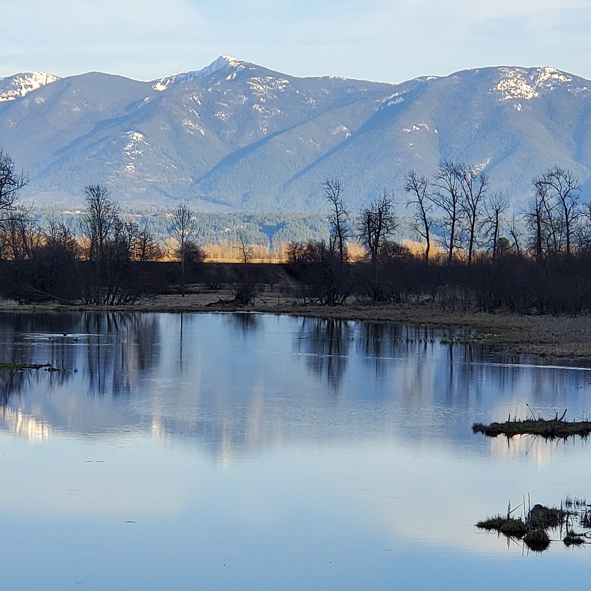 Impact Access Riverside Road construction to impact refuge access | Bonners Ferry Herald