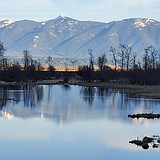 Riverside Road construction to impact refuge access