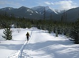 Free activities mark Winter Trails Day